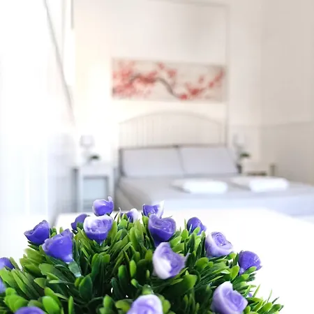 Piazza Hortis Appartement *